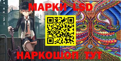 индика Моздок