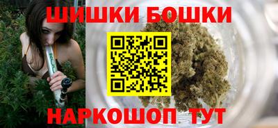 индика Моздок