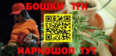 индика Моздок