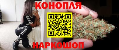 индика Моздок