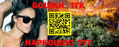 индика Моздок