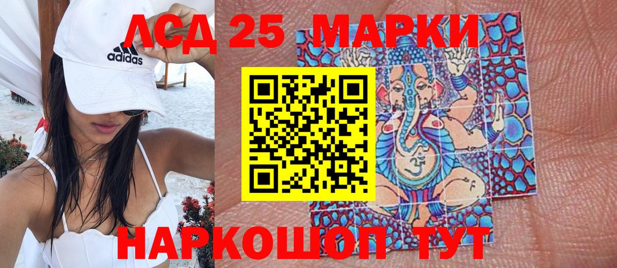 Свободный  Наркотические марки 1,8мг  Наркотические марки 1,8мг  Вход с VPN 