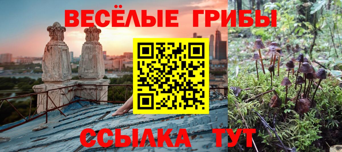 Галлюциногенные грибы Magic Shrooms Свободный