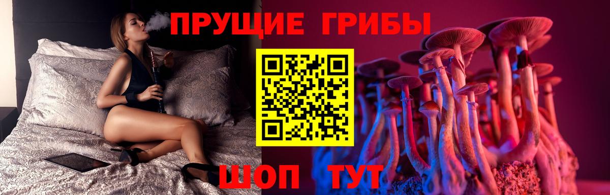Галлюциногенные грибы Psilocybe  Вход с VPN  Галлюциногенные грибы ЛСД  Свободный 